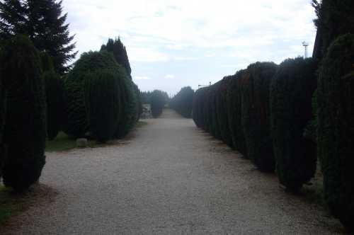 Kegyeleti szolgáltatás, temető fenntartás